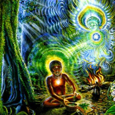 Ayahuasca Gave Me a Plan, with Jason Havey